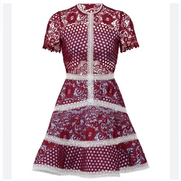 Alexis Rustikan Burgundy and Baby Blue Lace Mini Dress - Picture 2 of 7